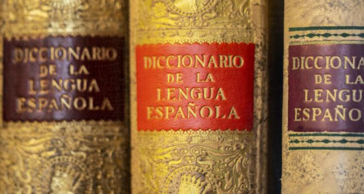 Diccionario de la Real Academia Española (RAE)