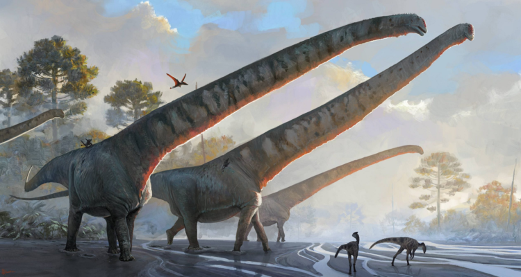 Hallan en China fósiles de dinosaurio que tenía cuello de 15 metros, el más largo jamás descubierto.