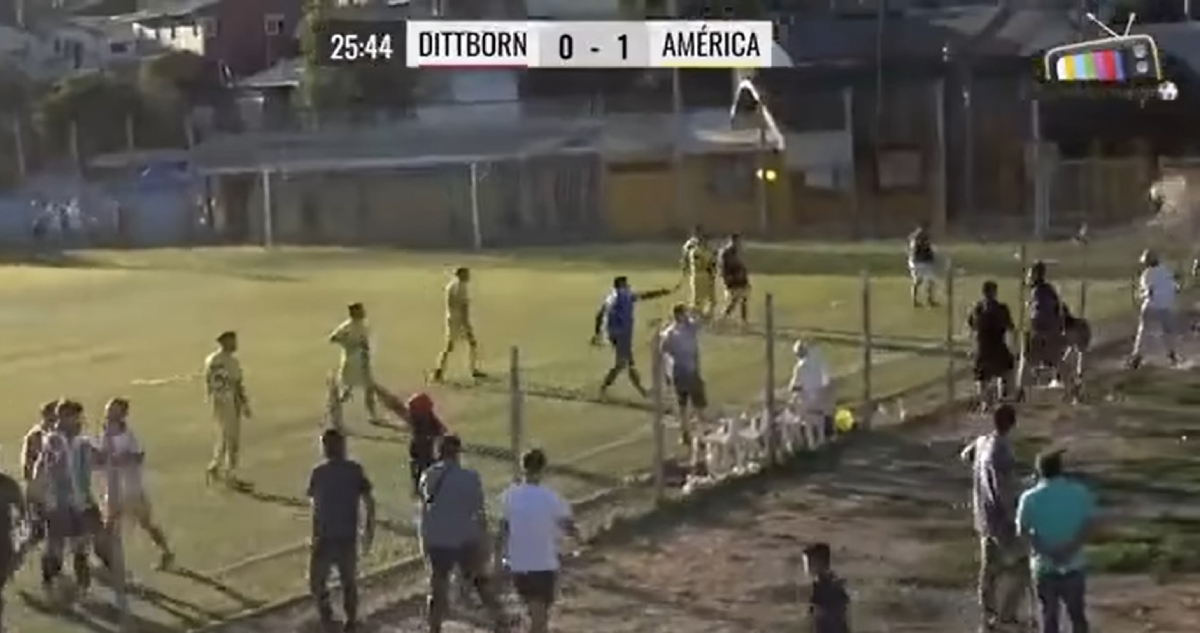 Dittborn América Penco
