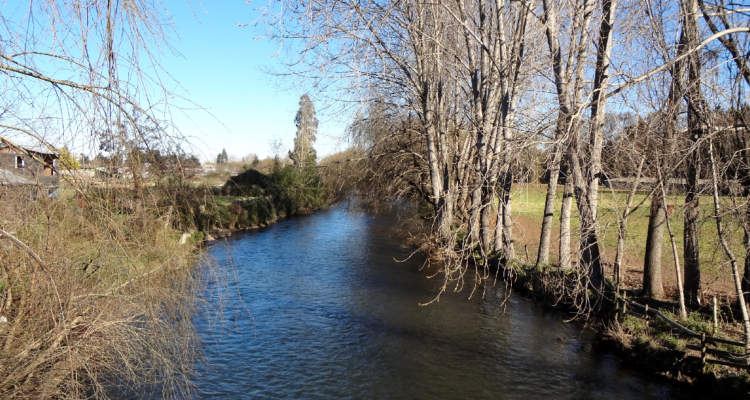 Encuentran cuerpo flotando en el río Huépil víctima llevaba dos semanas desaparecida