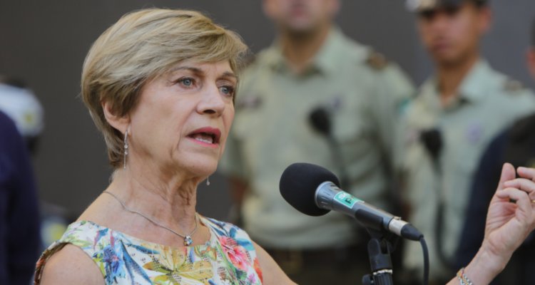 evelyn matthei