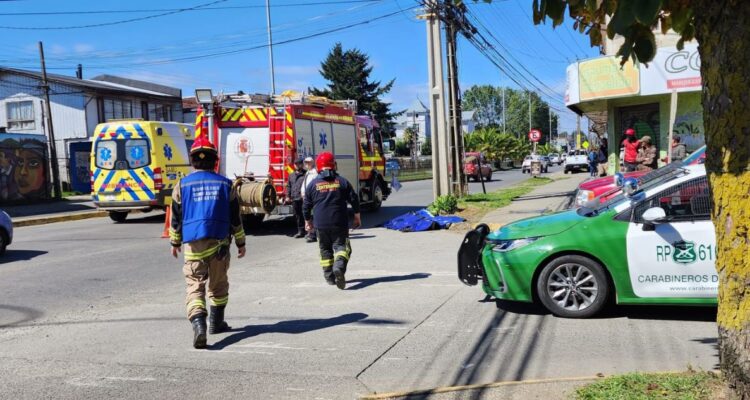 Hombre muere atropellado tras caer a la calle mientras volvía de realizar sus compras en Valdivia