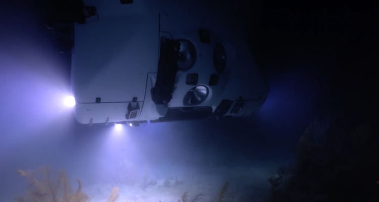 Imágenes de la expedición a lo profundo de la Fosa de Atacama.