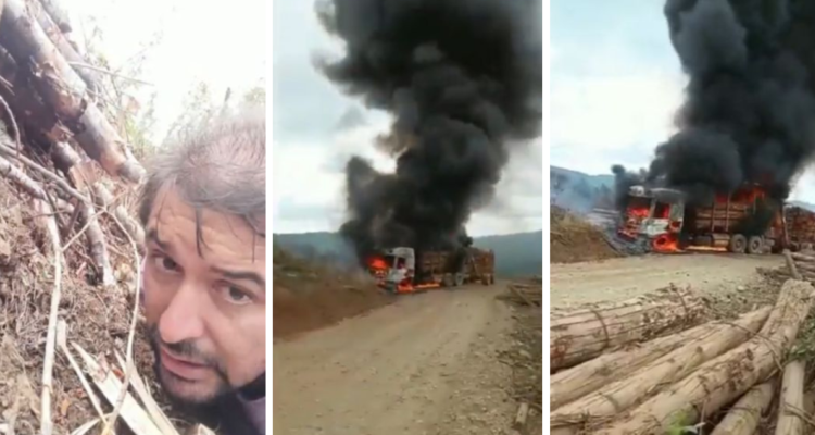 Graban ataque en Loncoche