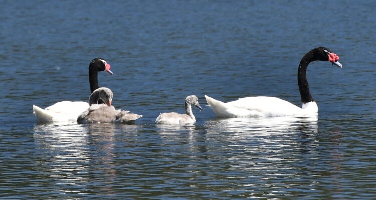 CONTEXTO | Agencia UNO