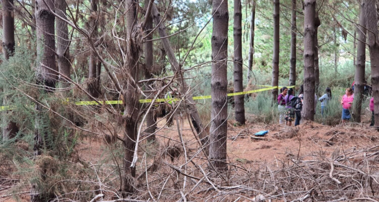Hallazgo de cuerpo en Los Álamos