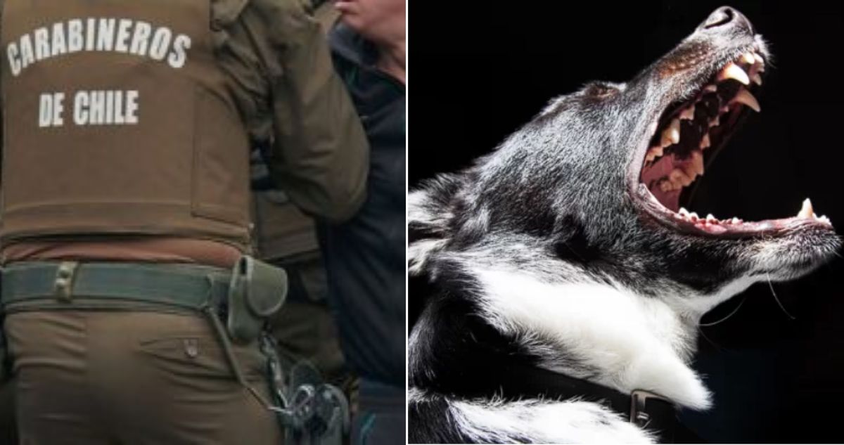 Hombre atacó a carabineros con machete y perro pitbull en Puyehue