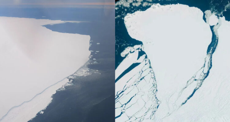 Iceberg A81 desprendimiento