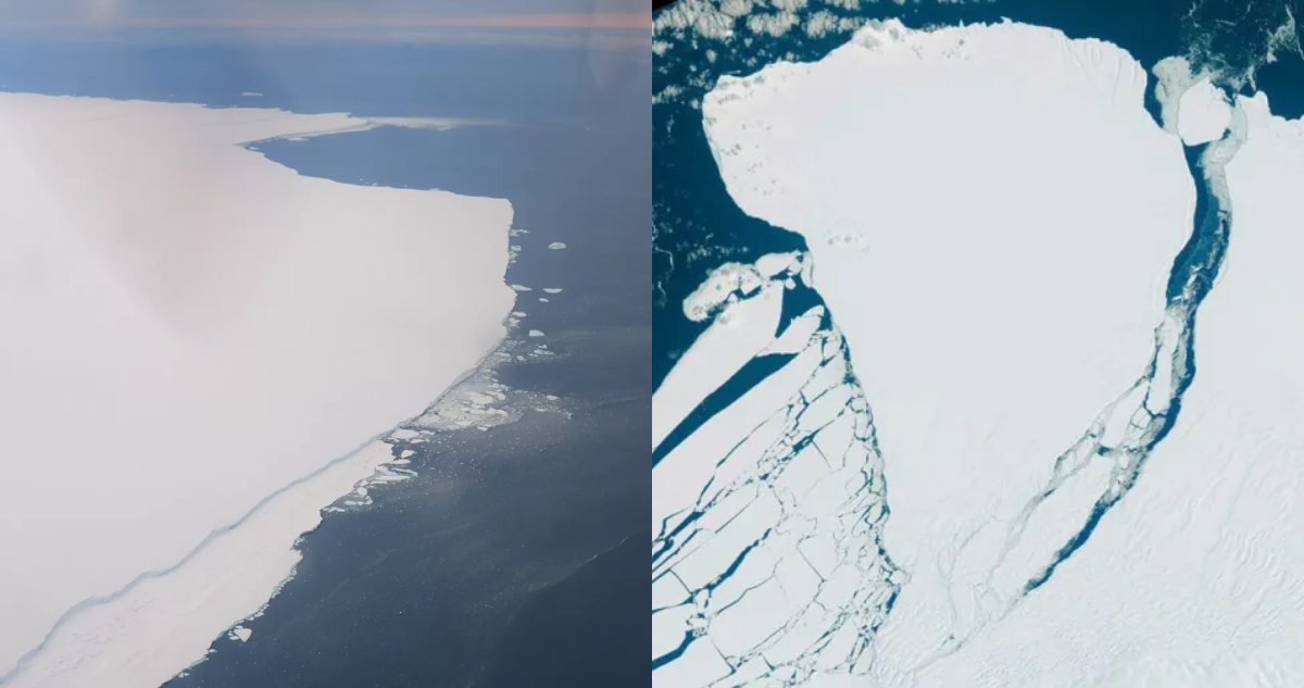 Iceberg A81 desprendimiento
