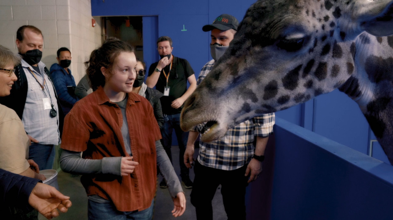 Giraffe scene from The Last Of Us