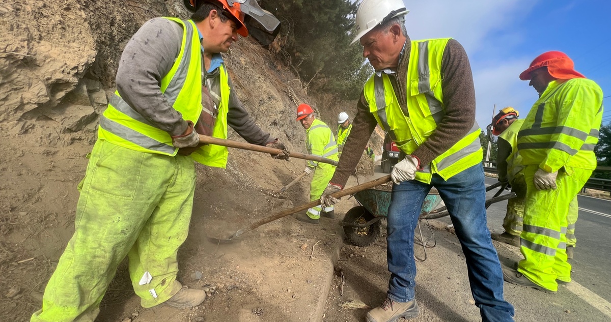 Se han removido más de 500 árboles en la Ruta de la Madera, con el fin de evitar su caída.