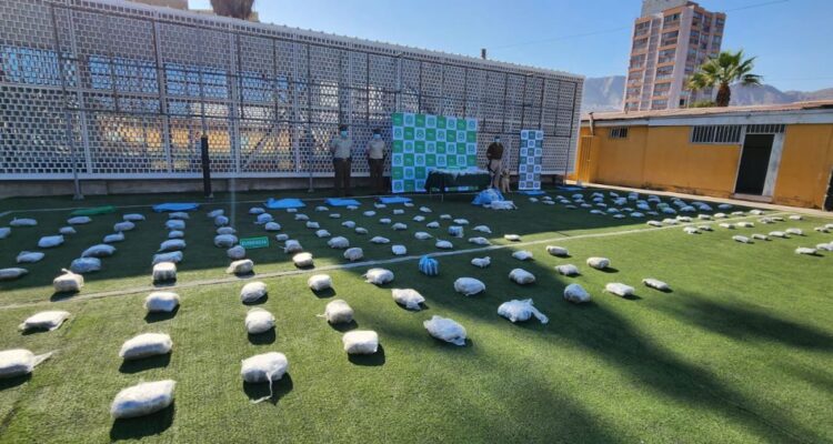 Incautan cerca de $1.000 millones en marihuana creepy