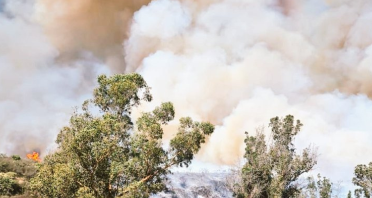 incendio forestal en Navidad