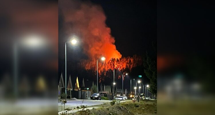 Incendio forestal en San Pedro de la Paz