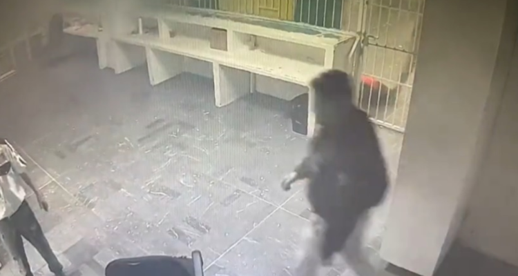 interior del centro de migrantes