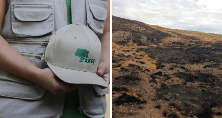 Anuncian extinguido incendio en Primavera de Tierra del Fuego