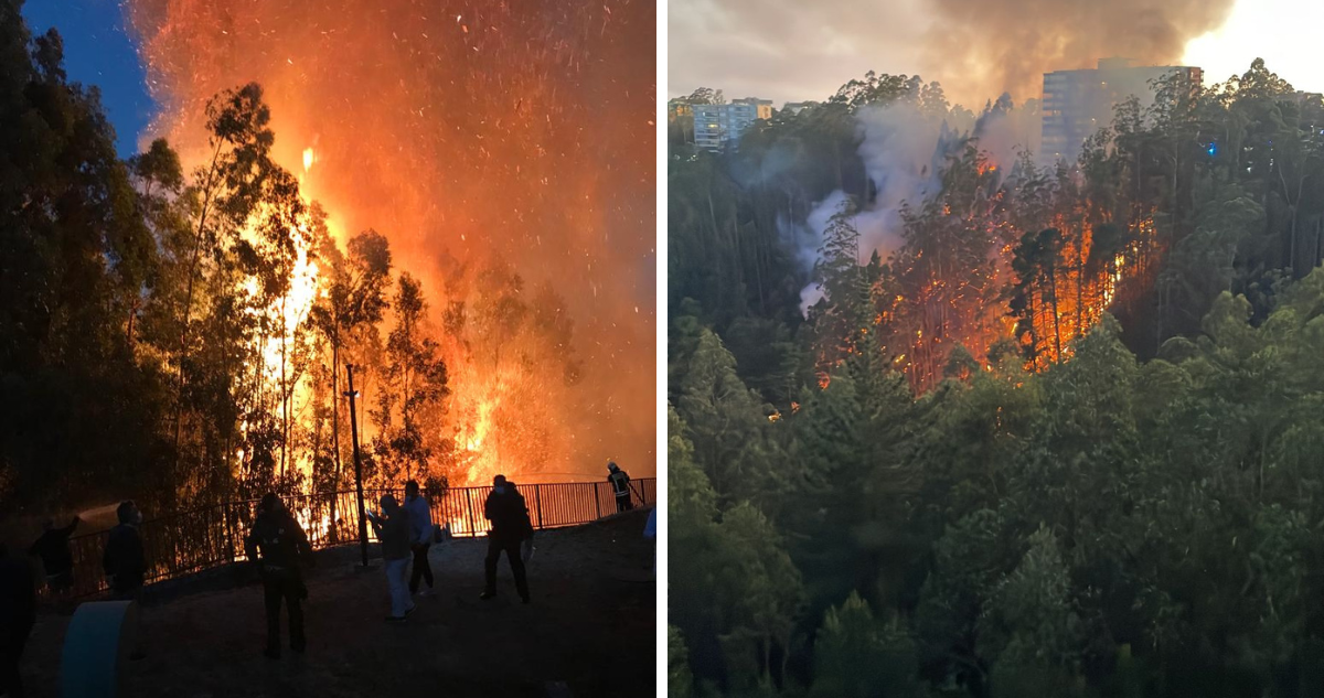 incendio forestal Andalué