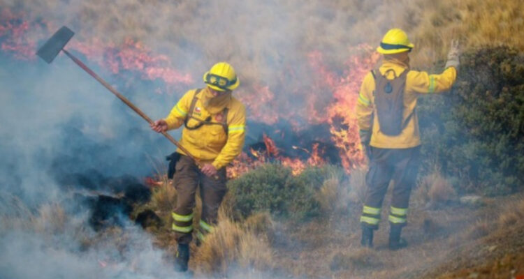 Intensa lluvia permitió controlar incendio forestal de Cruce Percy en Tierra del Fuego