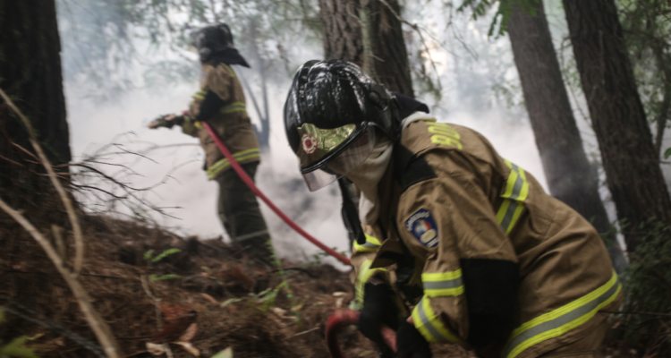 incendios forestales
