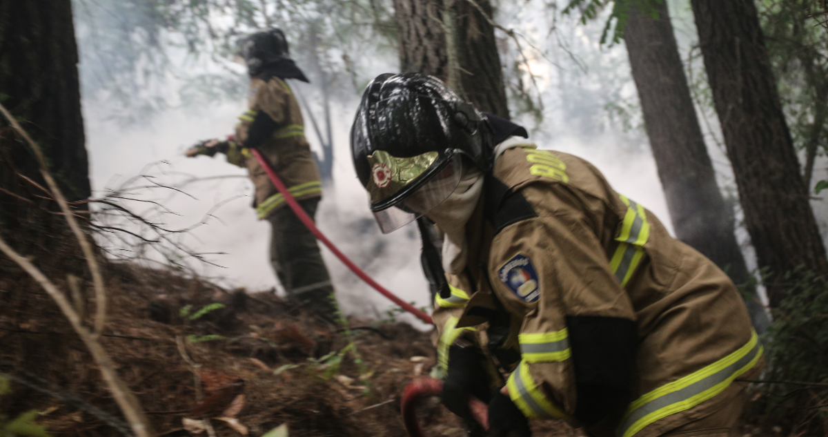 incendios forestales