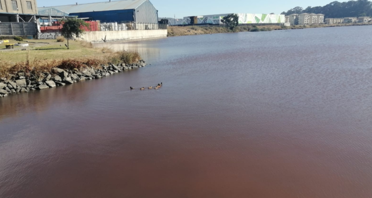 Laguna Redecamo Talcahuano