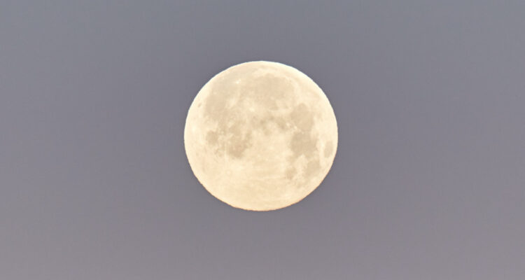 ¿Cuándo ver la Luna de Gusano?