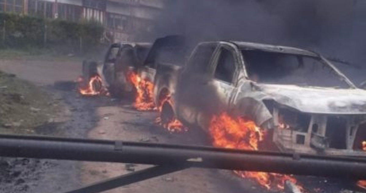 Escuchas revelan cómo comunidad mapuche prestó apoyo armado a empresa vinculada al tráfico de madera