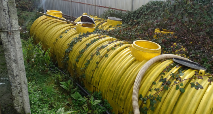 Matadero arriesga casi $11 mil millones en multa por funcionar sin resoluciones en Castro