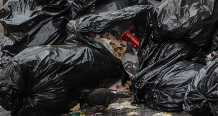 vecinos Valdivia microbasurales