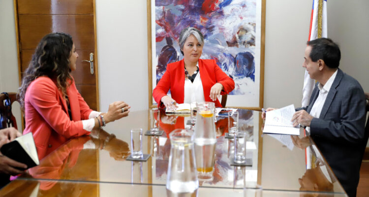 Gobierno reitera que su objetivo es que “industria de AFP se termine” para dar paso a otro sistema