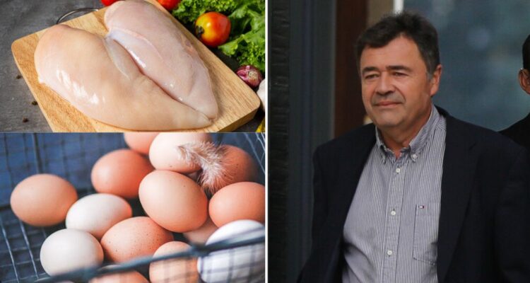 Ministro pide confiar en Gobierno tras casos de Gripe Aviar