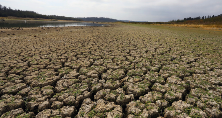DGA informa millonarias multas en Petorca por extracción ilegal del agua