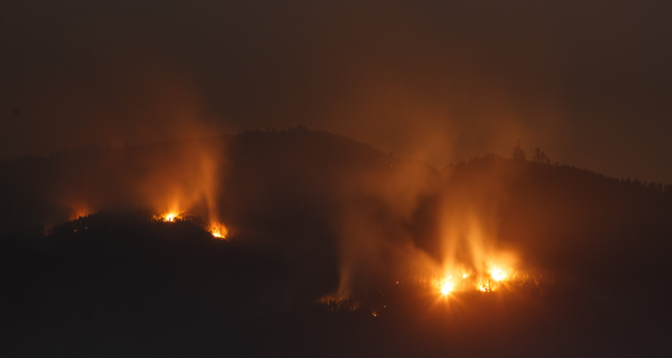 ONU Chile incendios forestales