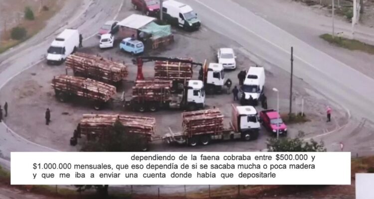 Formalización de operador de dron en causa por robo de madera