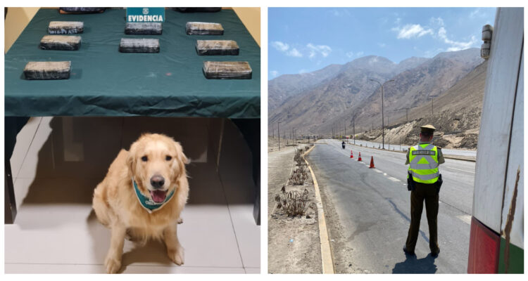 Fiscalizaciones por droga en Loa