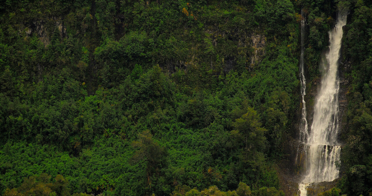 SMA echa por tierra evaluar proyecto de loteo que involucra hectáreas del Parque Nacional Puyehue