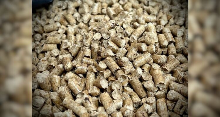 Pellet en Los Ríos