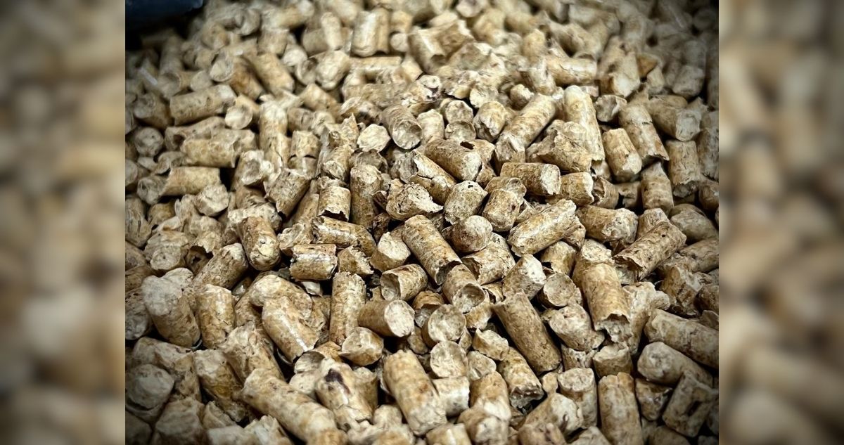 Pellet en Los Ríos