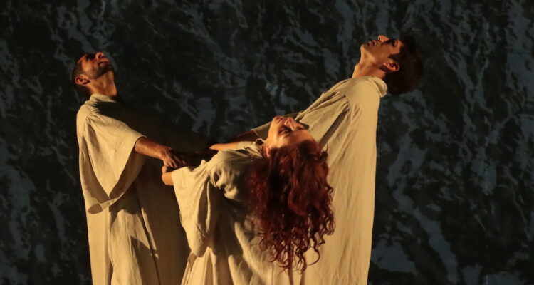 el padre de las aves