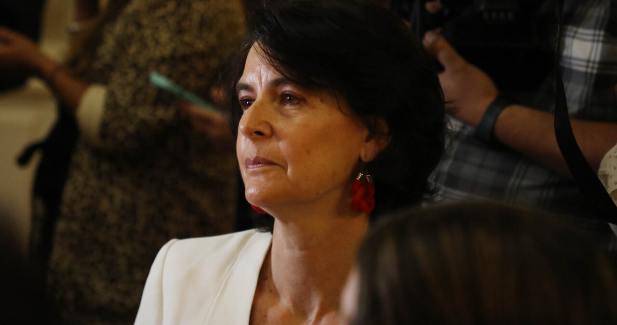 Presidenta de comité experto: “La gente se asustó con la situación de desborde en el proceso anterior”