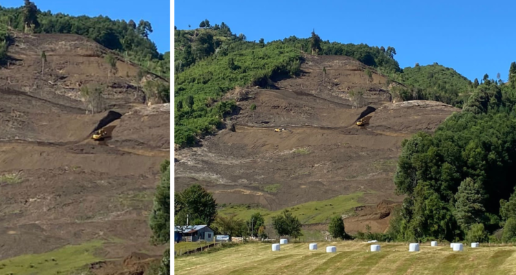 Piden fiscalizar proyecto inmobiliario en quebrada de “alto riesgo” en cerro en Puerto Octay: