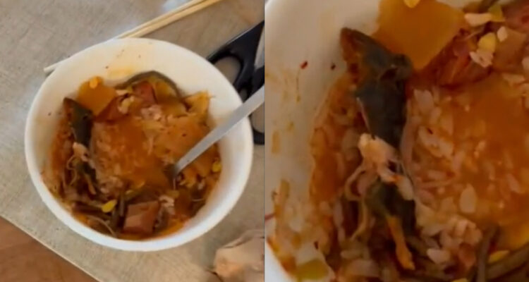 Encuentran rata muerta en plato de comida coreana