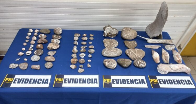 PDI región de Los Lagos