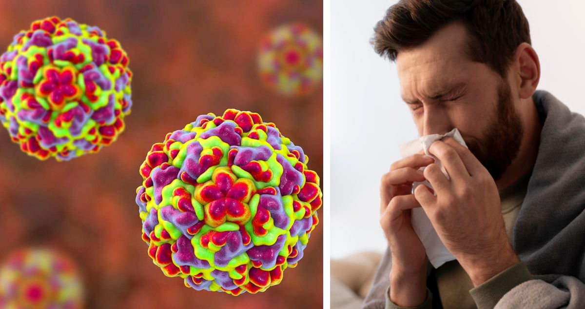Qué es el Rhinovirus, cómo se contagia y cuáles son los síntomas de la enfermedad respiratoria causante del resfrío común y que mantuvo a 25 cadetes de la Escuela Militar con un cuadro respiratorio agudo y que podría palear los síntomas del covid-19