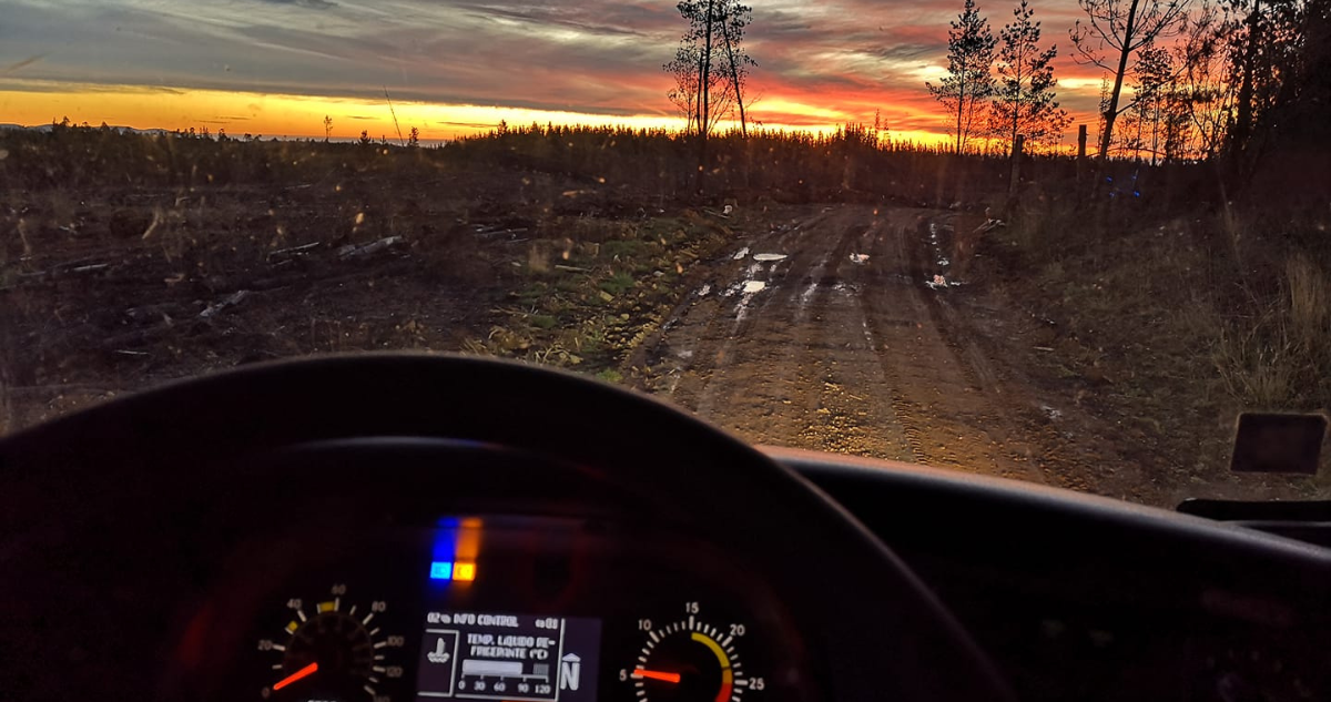 la ruta del dinero del último empresario caído por robo de madera