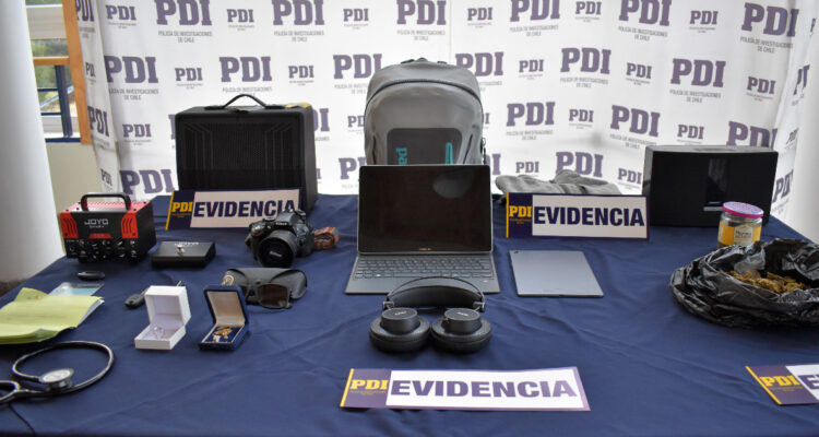 Especies recuperadas tras robo en Coyhaique