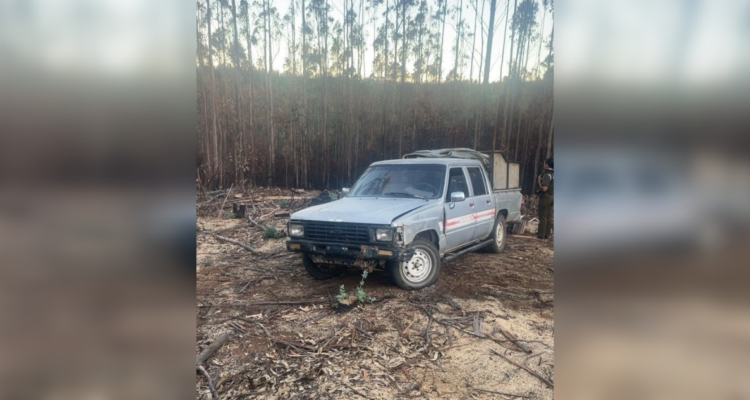 Detienen a hombre por robo de madera en Curanilahue: contaba con una cautelar por la misma causa