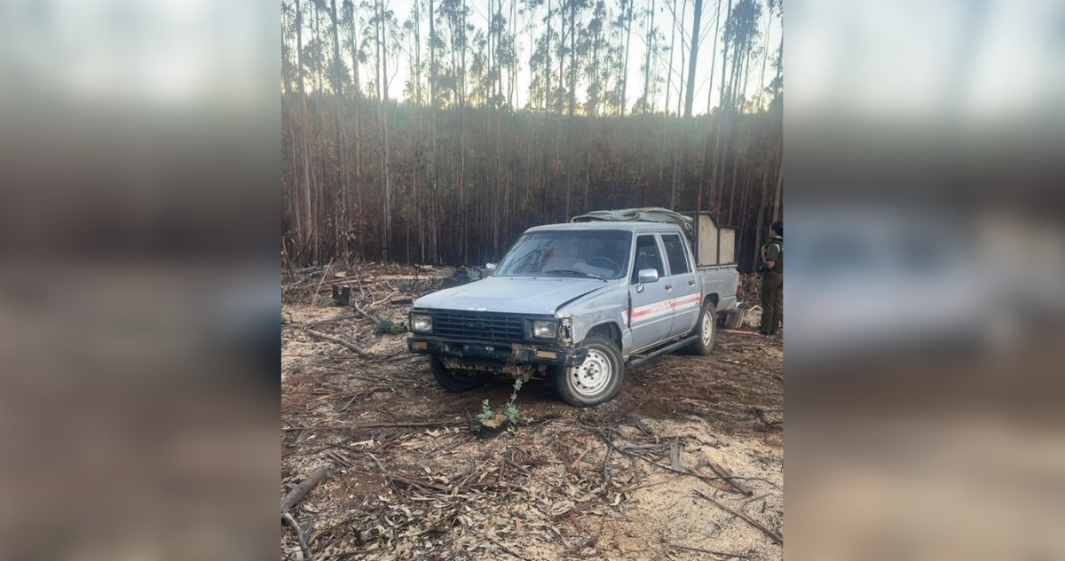 Detienen a hombre por robo de madera en Curanilahue: contaba con una cautelar por la misma causa
