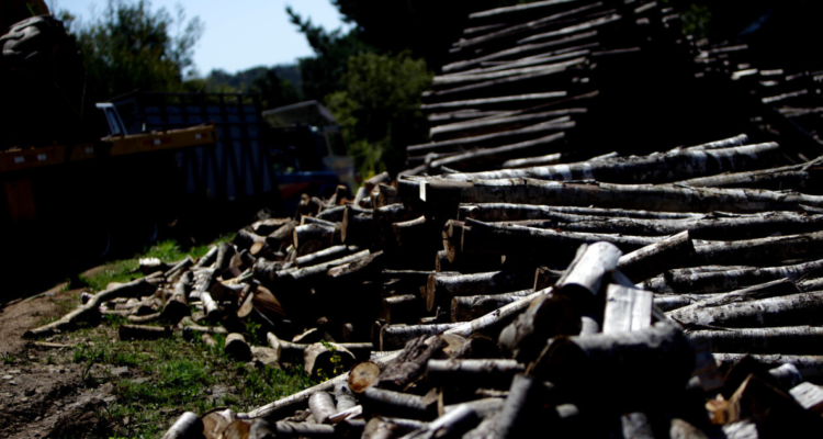 Fiscalía ofrece procedimiento abreviado a imputados por millonario robo de madera y asociación ilícita