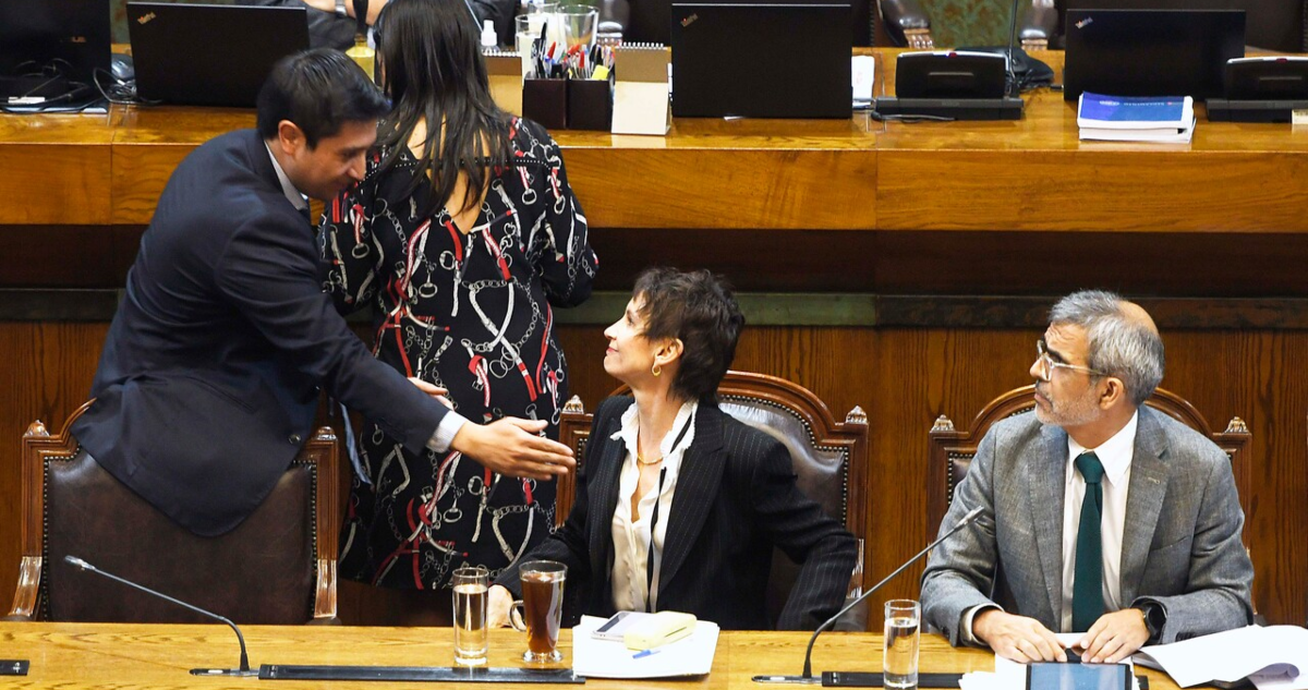 seguridad – diputados